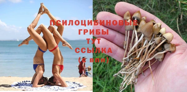 мет Рославль