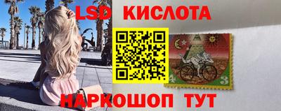 молекула духа Будённовск