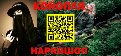 молекула духа Будённовск