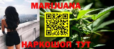 молекула духа Будённовск