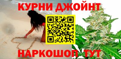 молекула духа Будённовск
