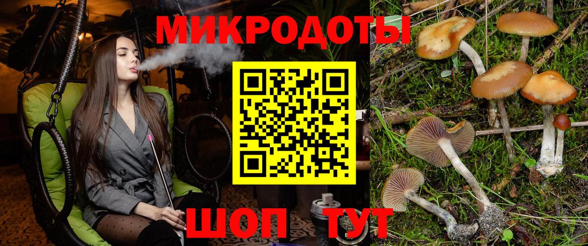 Псилоцибиновые грибы ЛСД Советская Гавань