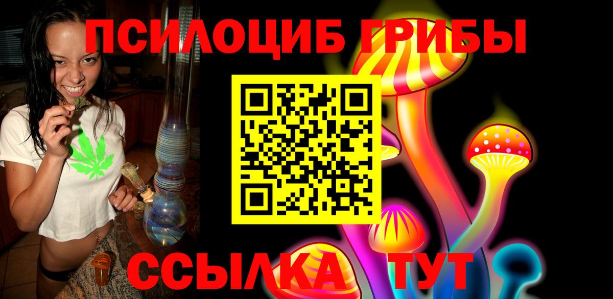 Советская Гавань  Псилоцибиновые грибы Psilocybine cubensis  даркнет сайт  Псилоцибиновые грибы мухоморы  Вход с VPN 