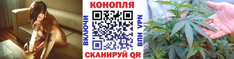 Бошки Шишки индика  цены наркотик  Советская Гавань 